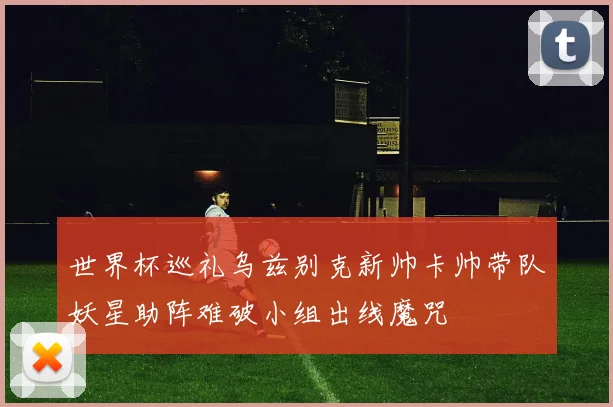 世界杯巡礼乌兹别克新帅卡帅带队妖星助阵难破小组出线魔咒